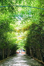 The role of the Nature Restoration Fund