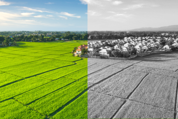 Recent appeals give colour to Grey Belt development uncertainty