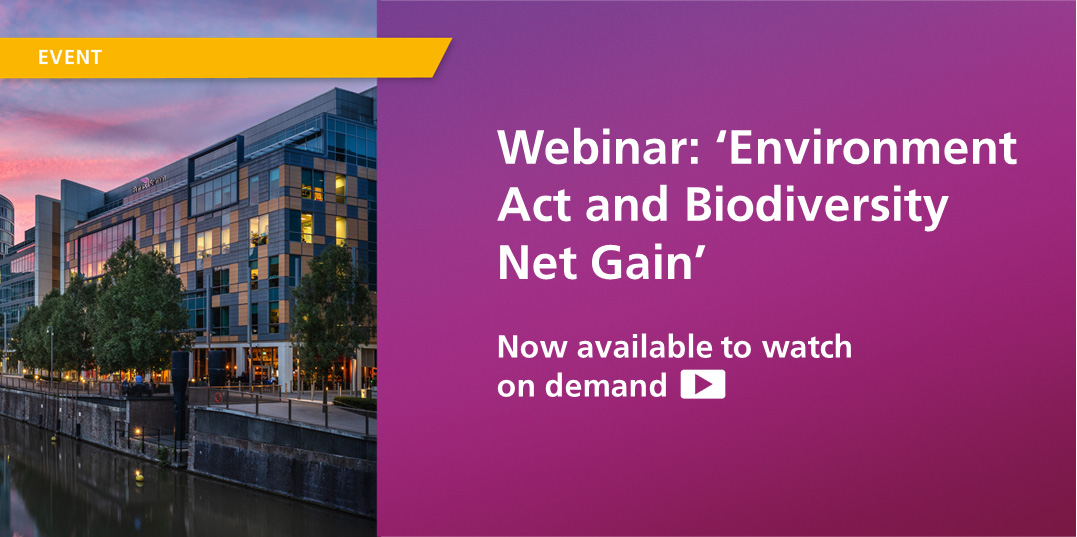 BS Webinar Still 3