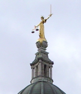 Litigation portrait