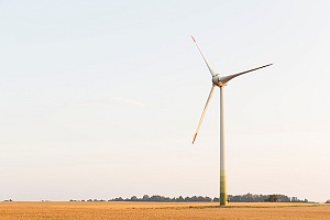 Maximising ROI in renewable energy: Legal, technical, and financial strategies for net-zero success