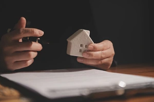 Just what is it about today’s planning system that makes appealing so … appealing?
