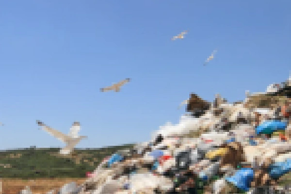 The landfill tax and local authorities