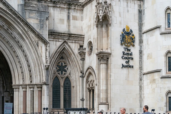 Independent Social Workers and judicial review