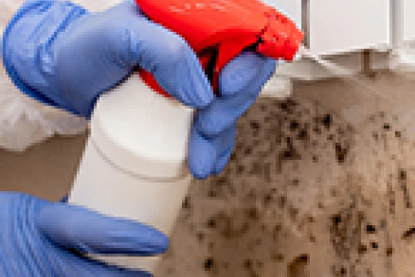 Instruction of experts in housing disrepair claims