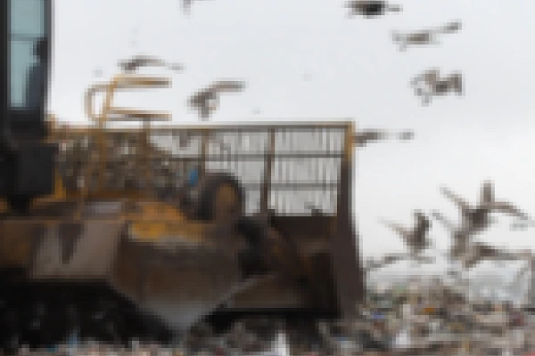 The landfill tax and local authorities